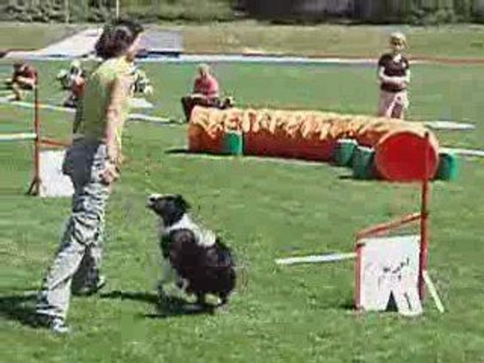 Jana Dušková and Border collie Charlie