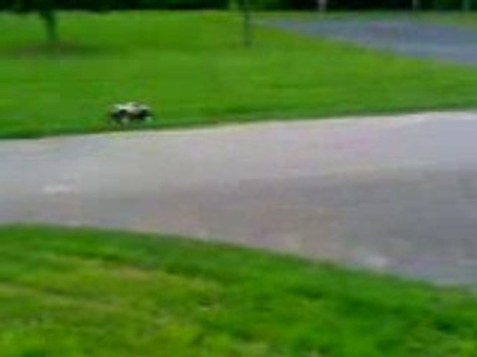 Moto_0070