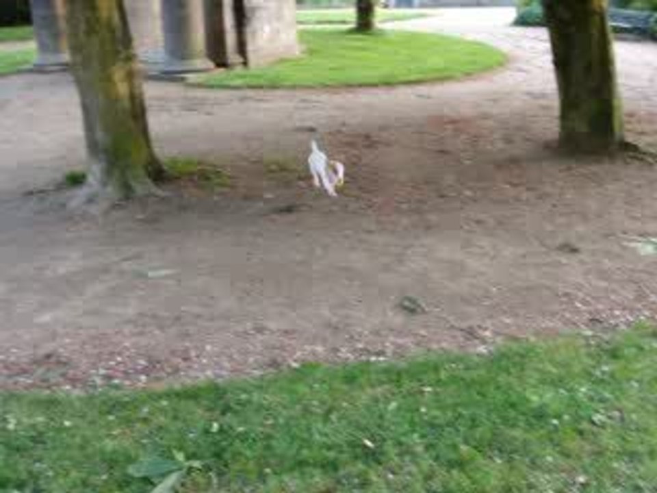 Donuts au parc !!!