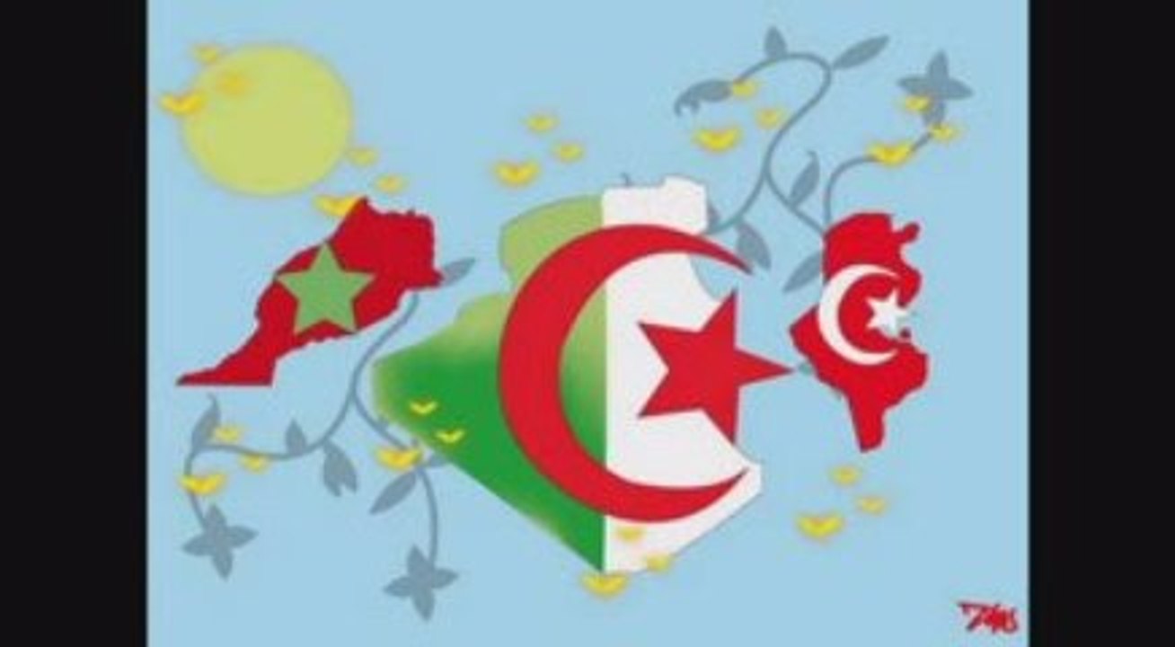 Chanteur Tunisien Zik Chaoui