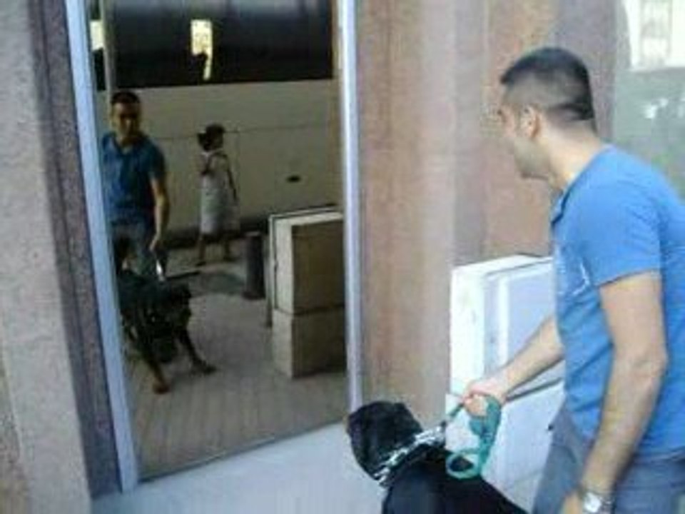 pascal pascal a karşı