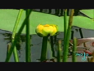 South Beach, Miami, Etats Unis