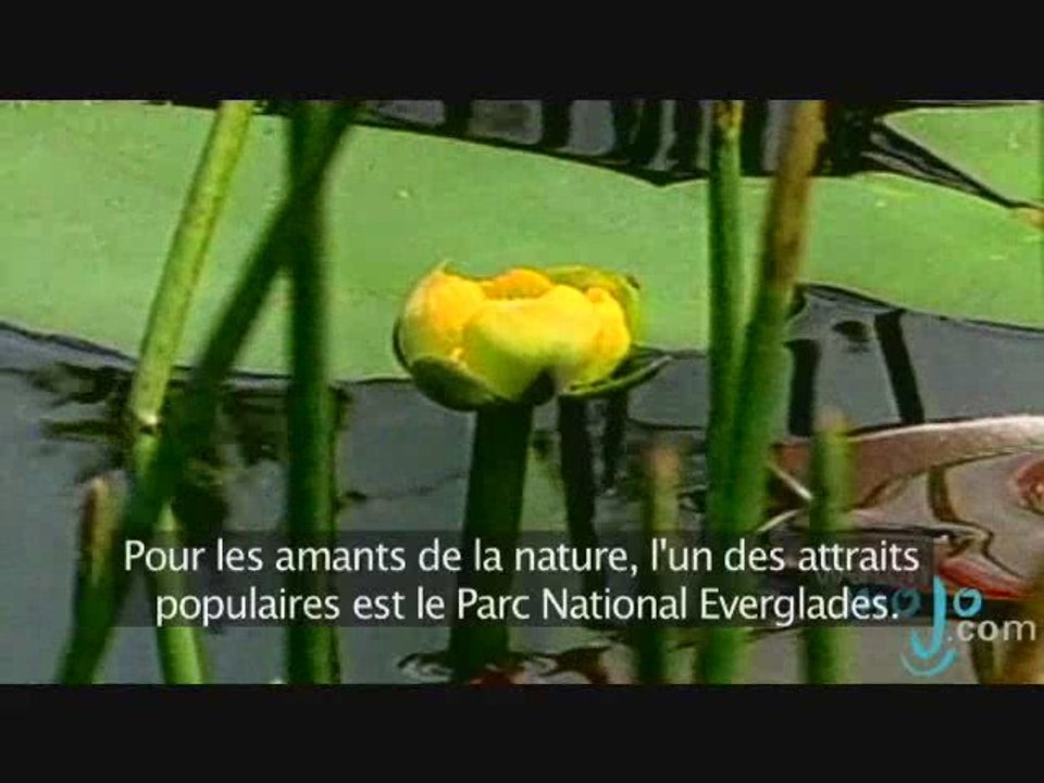 South Beach, Miami, Etats Unis (avec sous titres)