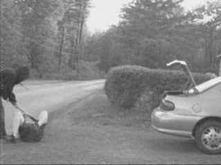 H.M. Godfrey gets attacked by the fourth member!