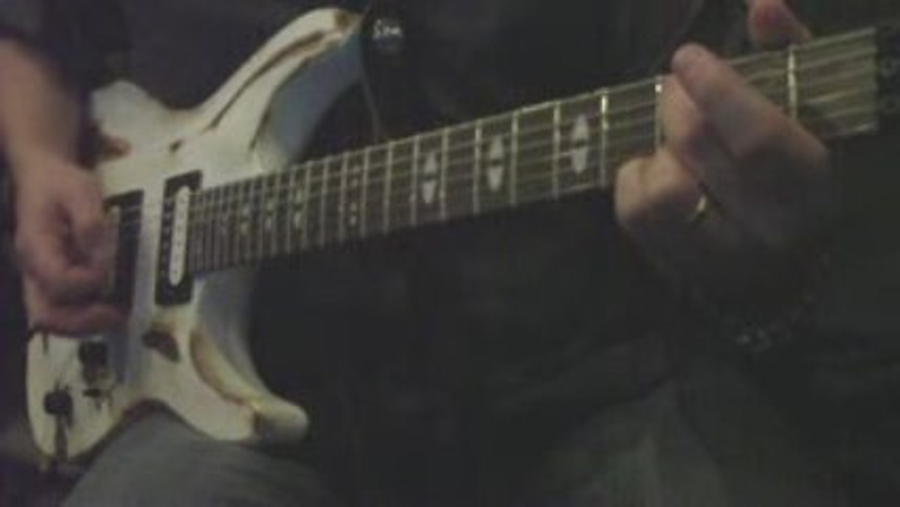 Pro Tone Pedals PE Delay
