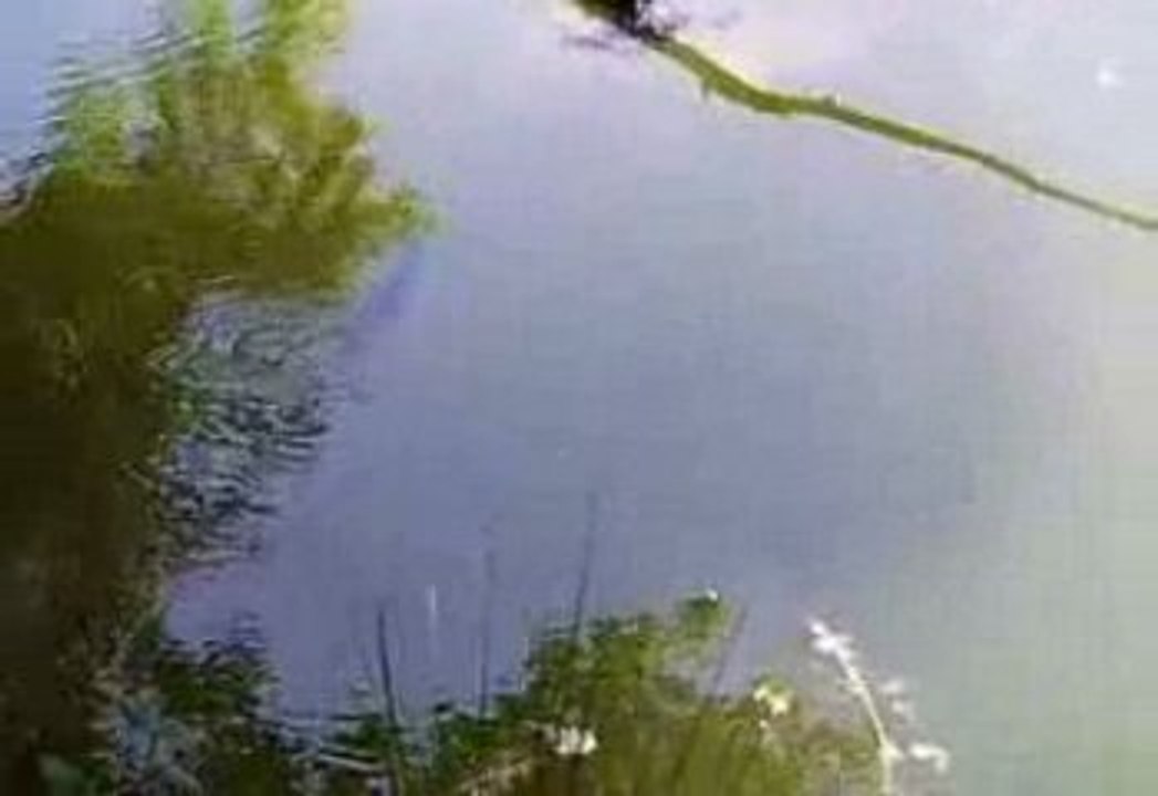 Vidéo0005