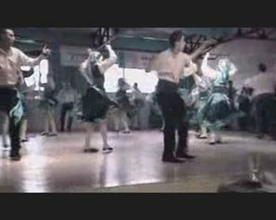 Cana verde
