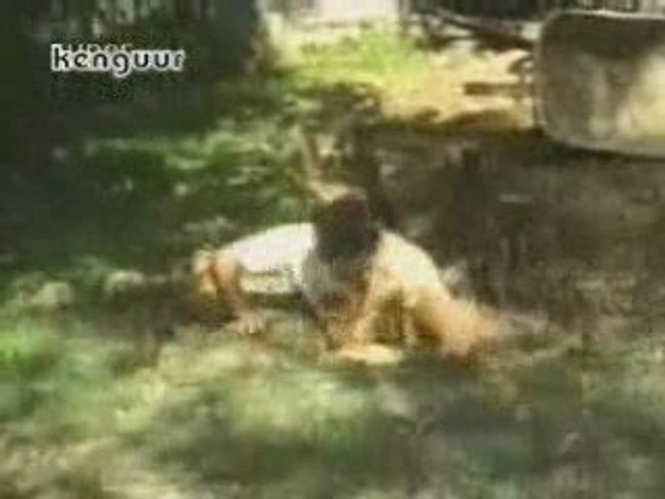 Bricoleur du dimanche - Blog-videos.org