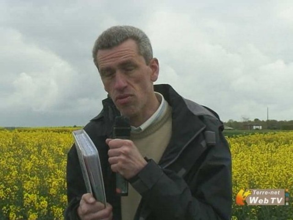 Quelle quantité de terre est brassée par les vers de terre ?