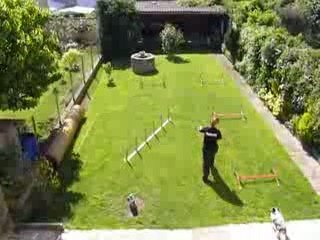 Dexter 7mois et demi