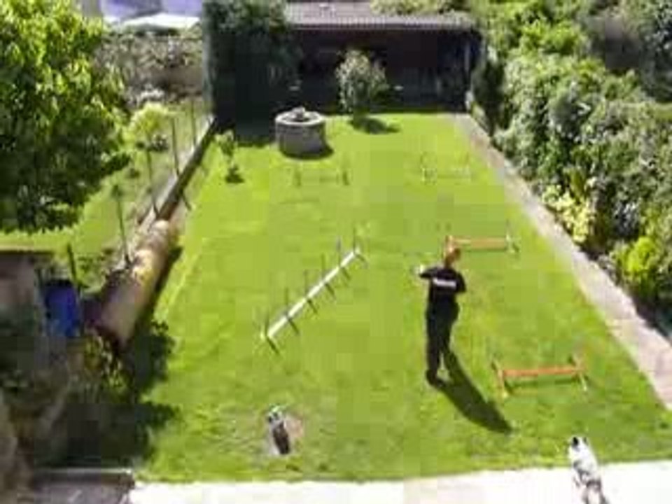 Dexter 7mois et demi