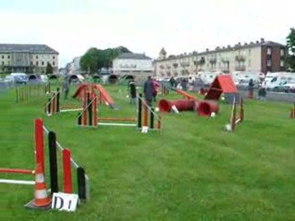 Séléctif Trophée Agility Argentan 2009 17/05/09 Ambrouille