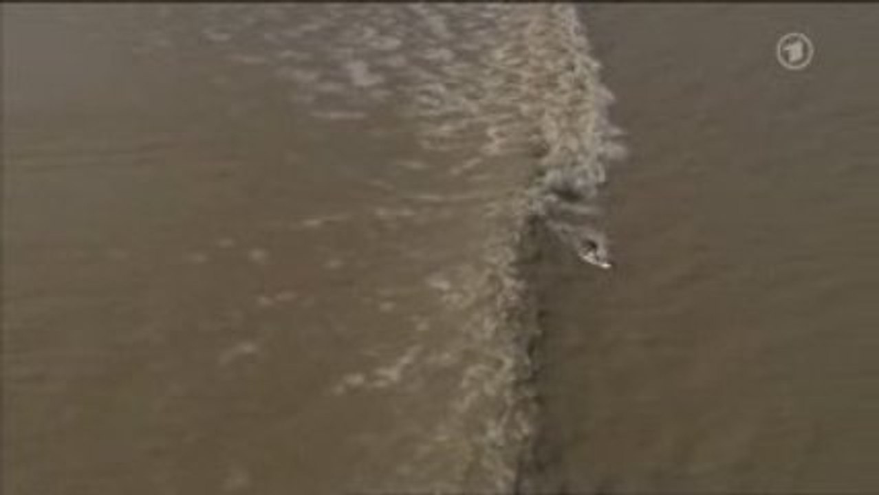 Pororoca im Amazonas