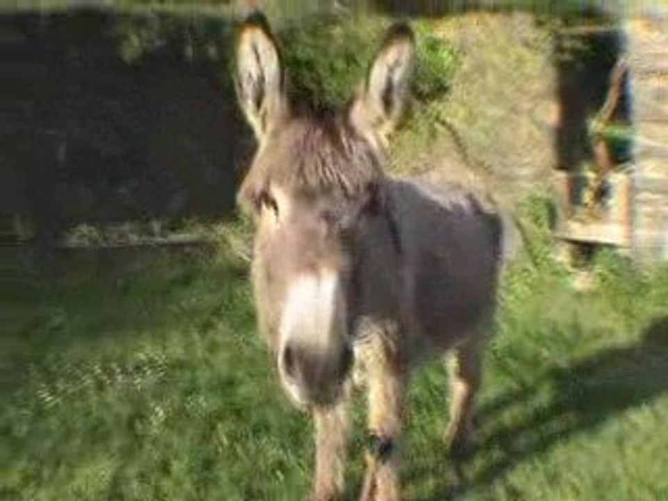 Recette d'un bon week-end au lac de Guerlédan