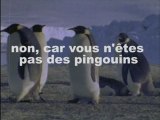 Pingouins sauteurs