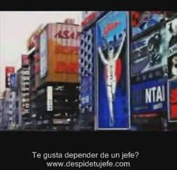 oportunidad de negocio para todos. dinero para ...