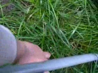 La balle dans la foret vierge