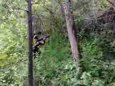 Bilan d'une progression silencieuse!!!