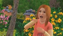 Les Sims 3 - intro  version courte