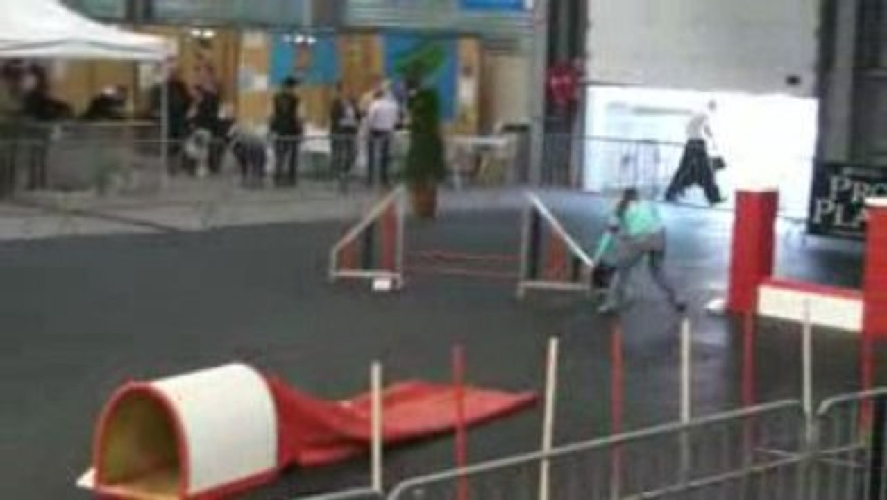 Open night
