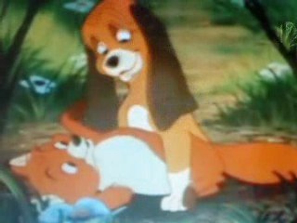 Rox et Rouky promesse