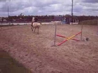 Clemence et Jumbo au saut+gamelle voltige