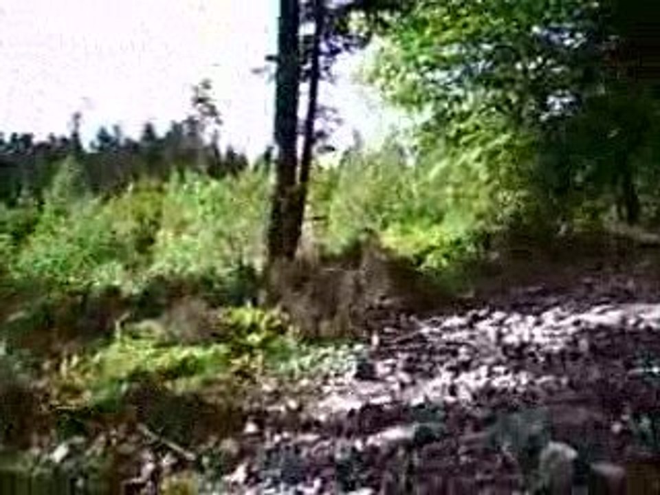 Montée et marche