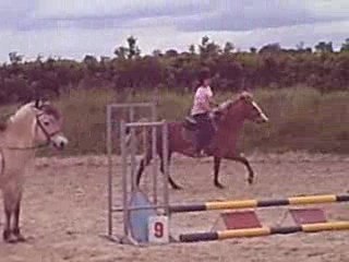 Parcours Elodie et Microbe