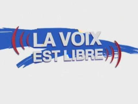 Sandrine Bélier sur France 3 Lorraine le 2 mai 2009