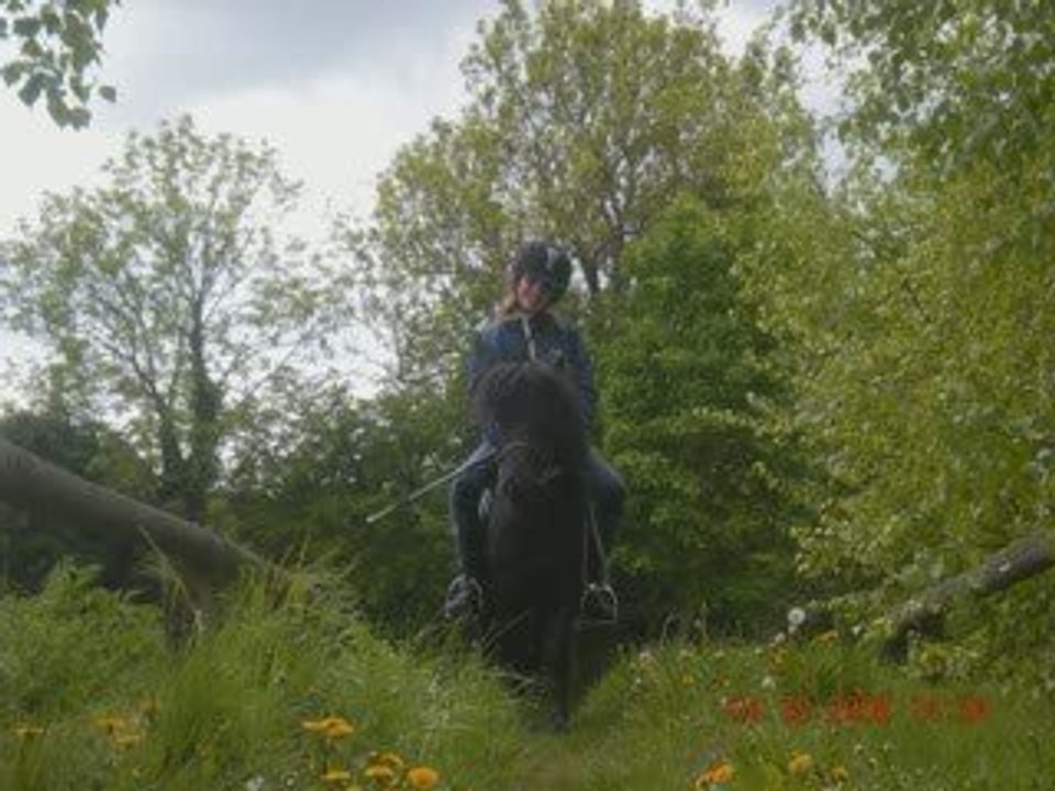 Zorro & moii