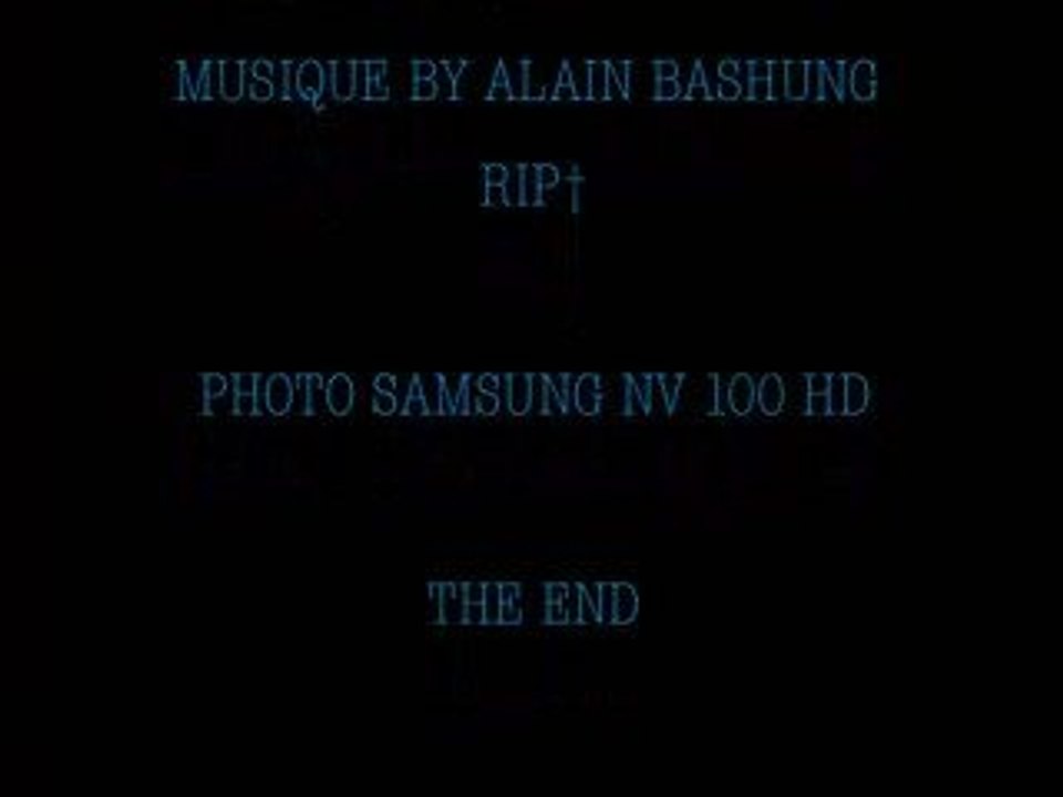 alain bashung
