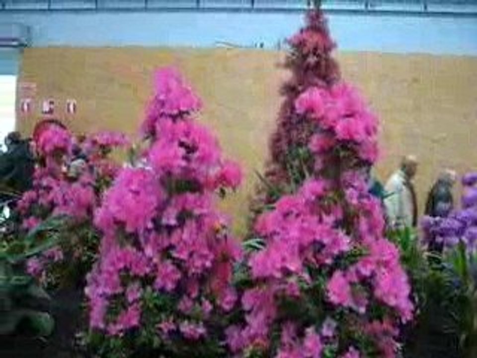 Nantes : Floralies 2009