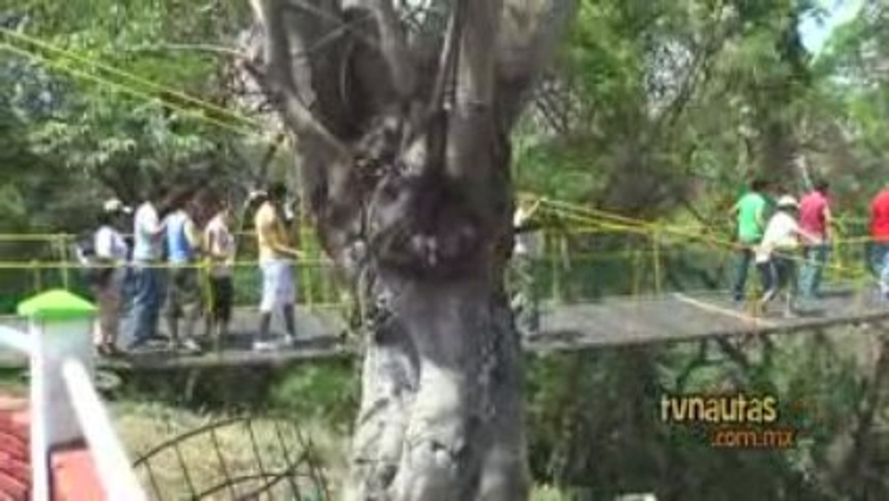 Puente colgante