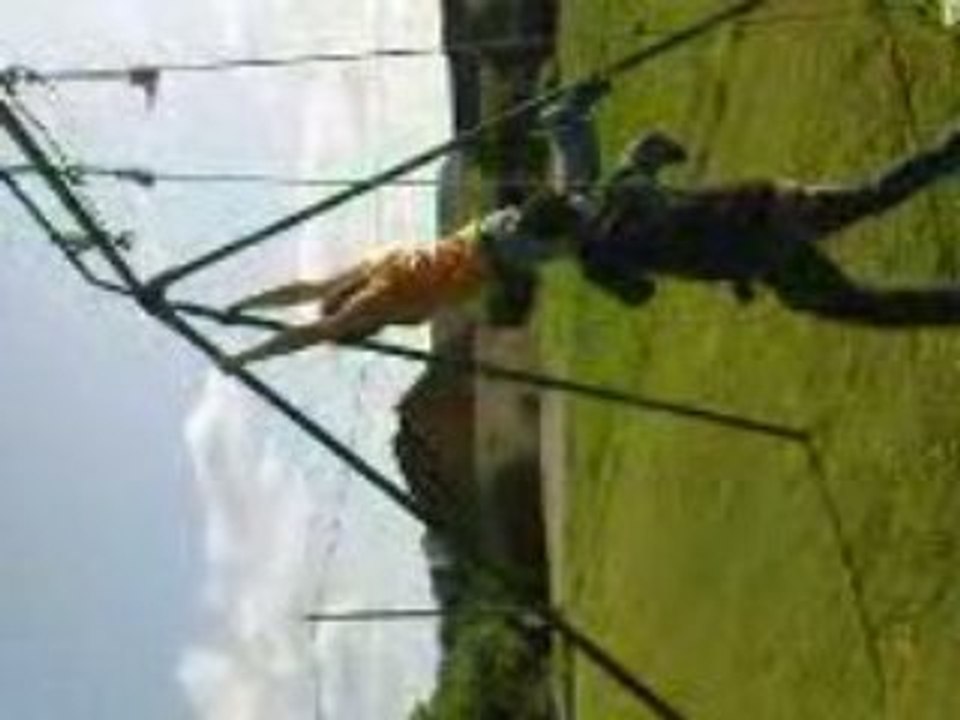 Guitou grimpe