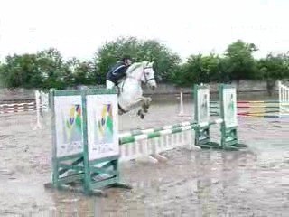 Concours Lardy . Marina & Misty