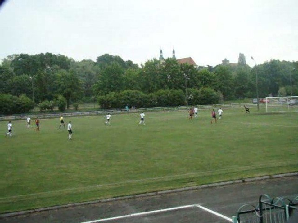 Gol odra