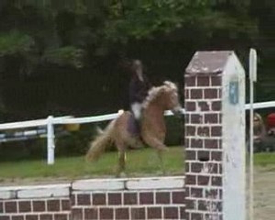 CSO Fauvettes Club 3 Elodie Prisco