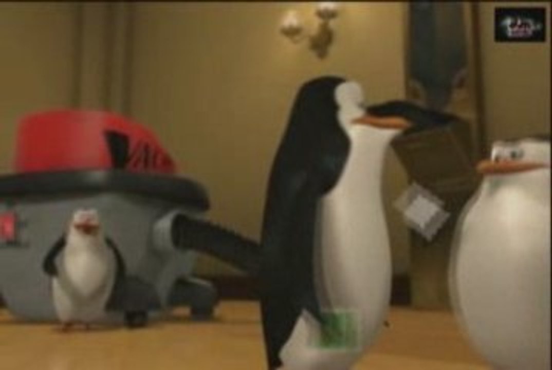 Yannidan & Toniotiago parodie les pinguins d aix en provence