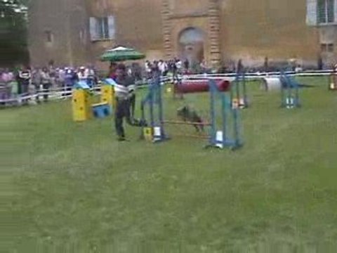 Blueberry Sélectif GPF Agility Jumping Valence 17/05/2009