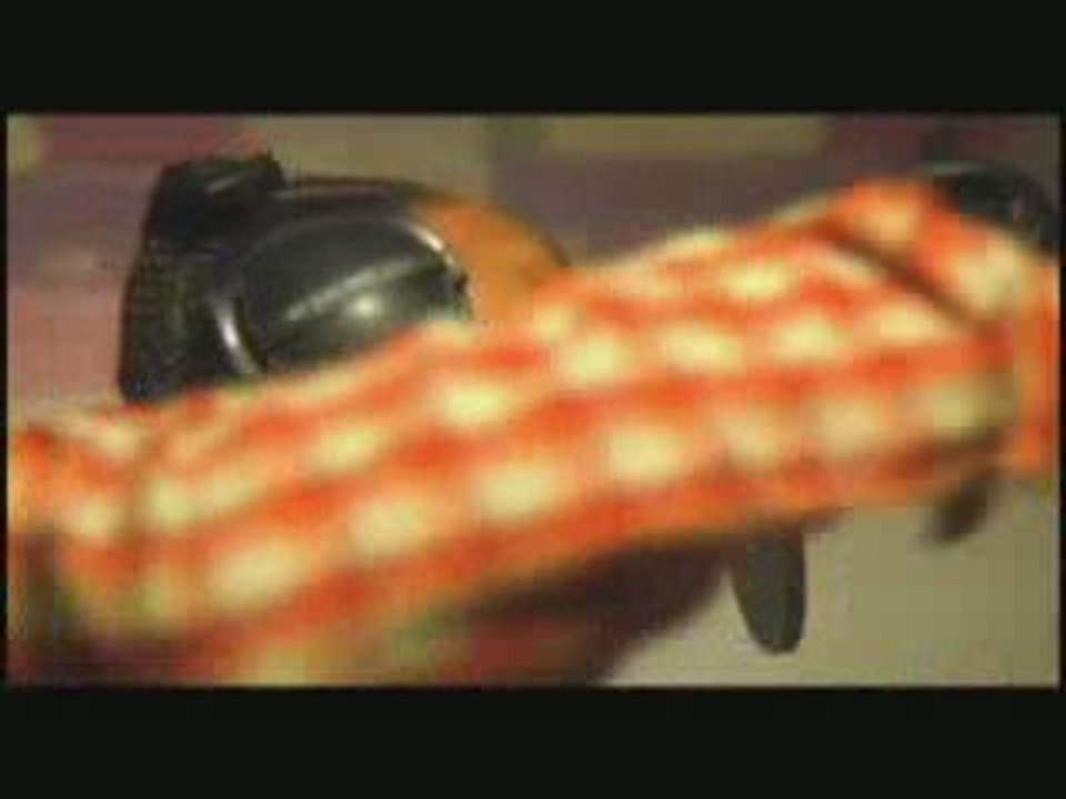 L.E.P Bogus Boys - Life Of A Bogus Boy / NEW