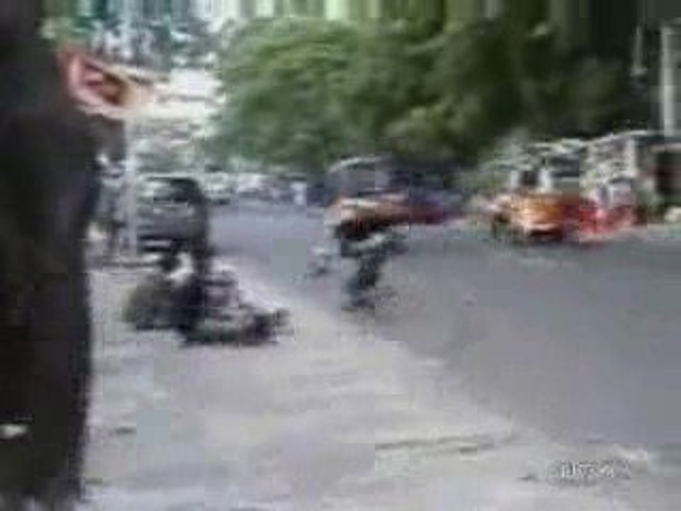 petit _de_singe en moto