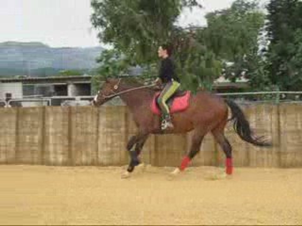 Video trec de folaille