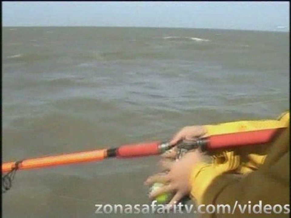 Excursión de Pesca en Punta Alta #1