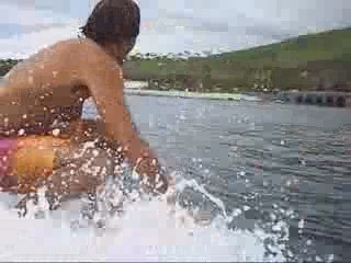 surf st leu turtle farm