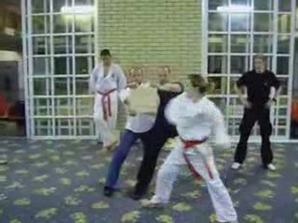 ITF BOSNA,Sarajevo taekwondo seminar 2009