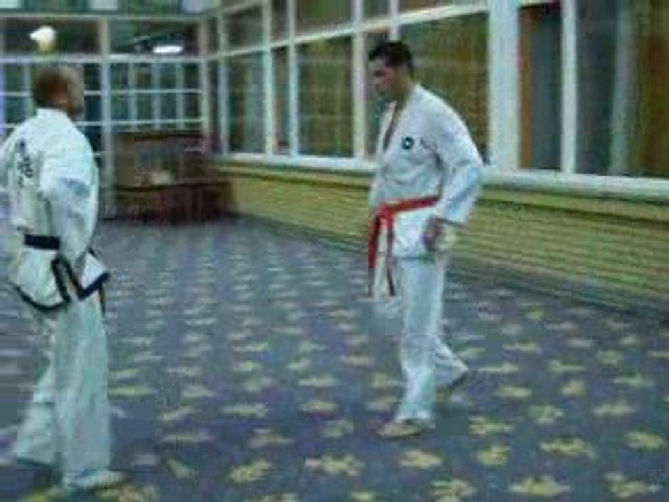 ITF BOSNA,taekwondo seminar ,Sarajevo 2009