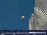 Red Bull cliffdiving