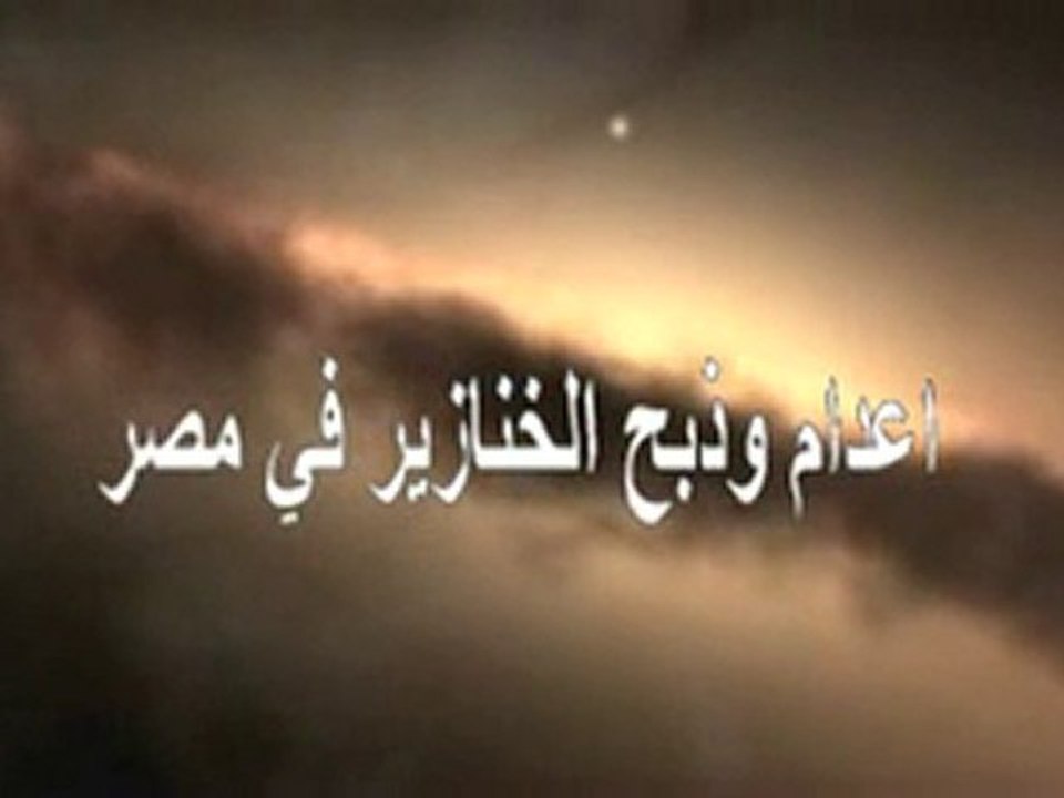 اعدام وذبح الخنازير في مصر