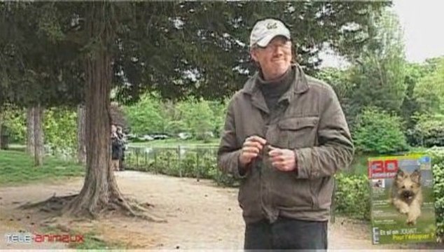 Le couché : apprendre à son chien à se coucher