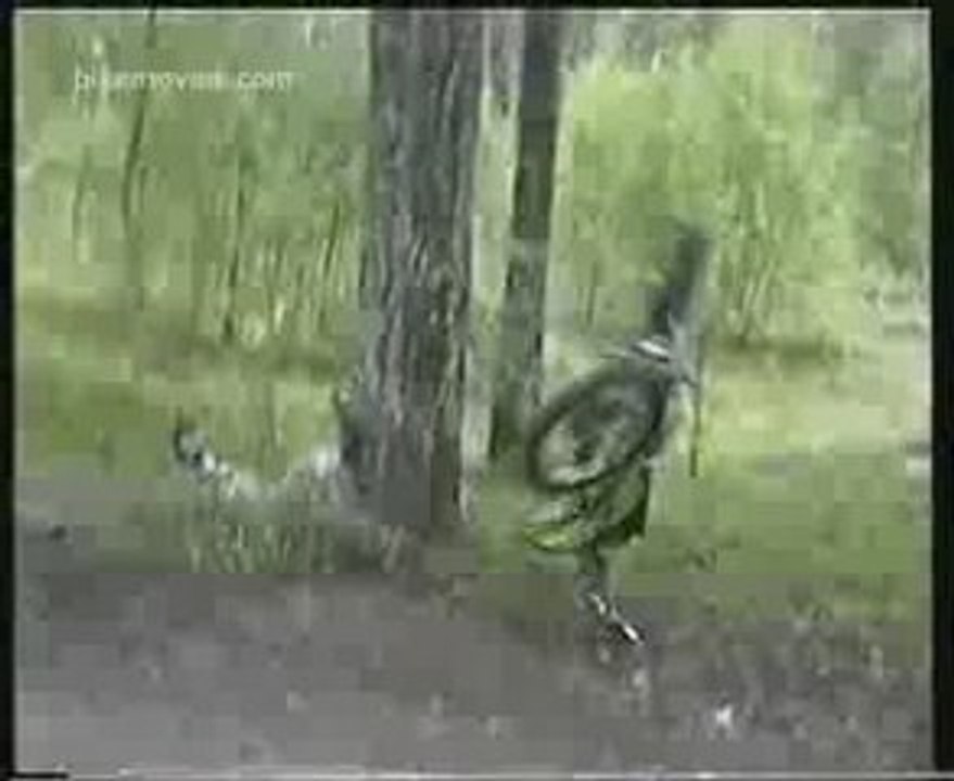 Jackass - Motocross Crash